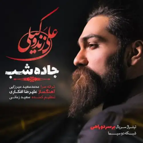 جاده شب